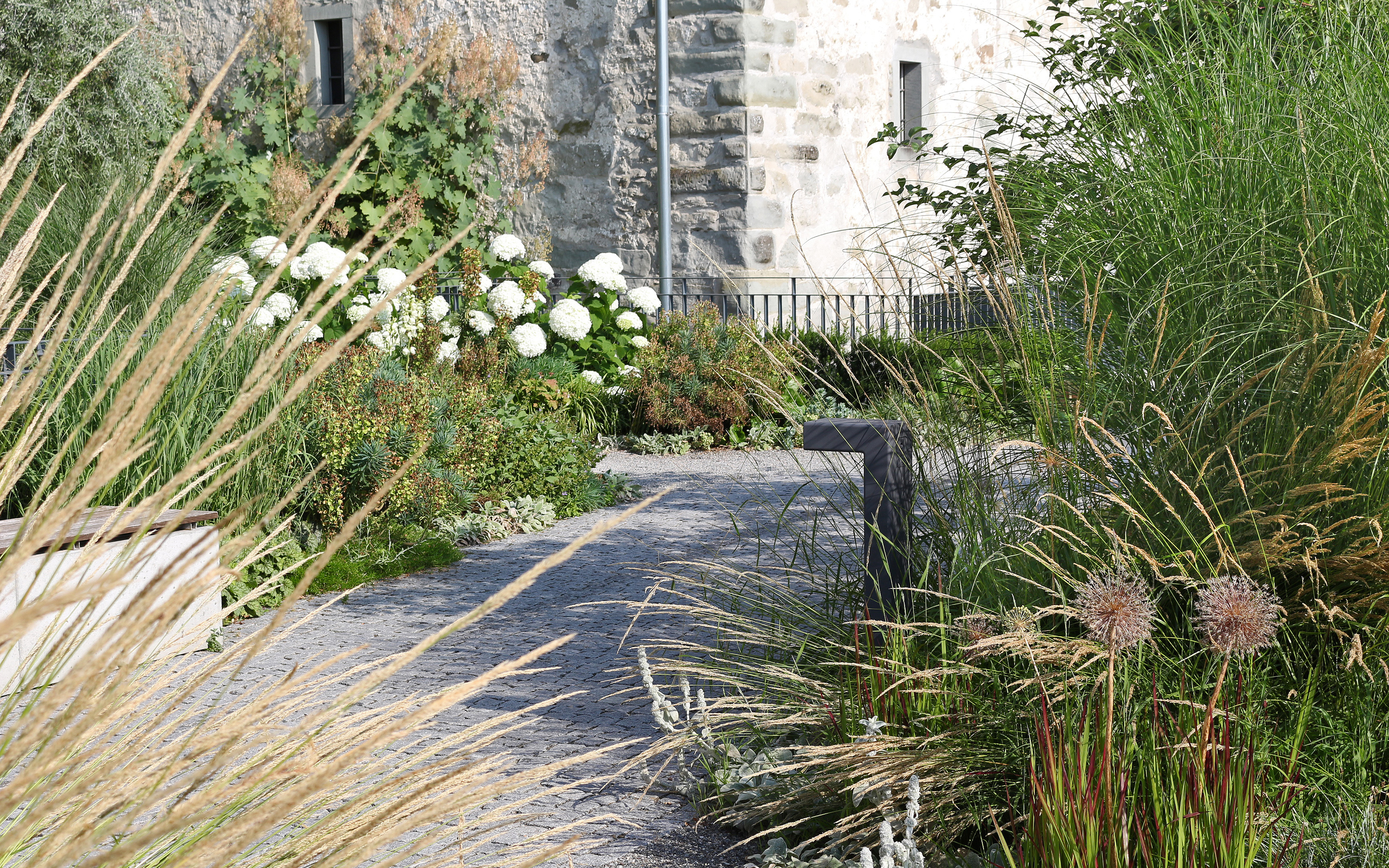 Pathway lined with Hydrangeas, shrubs and ornamental grasses